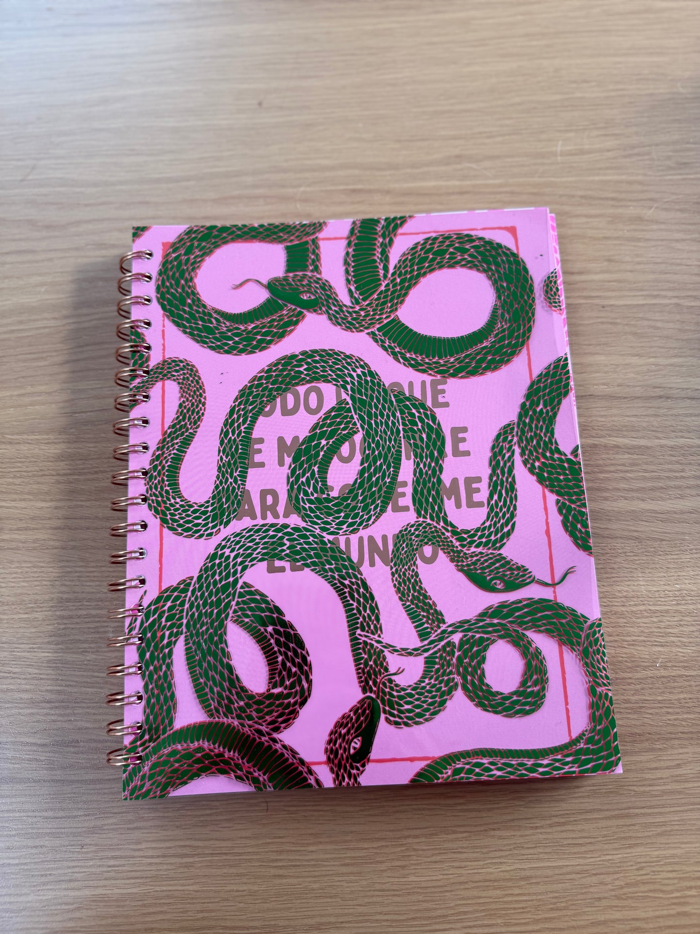 Cuaderno de sueños-Journal