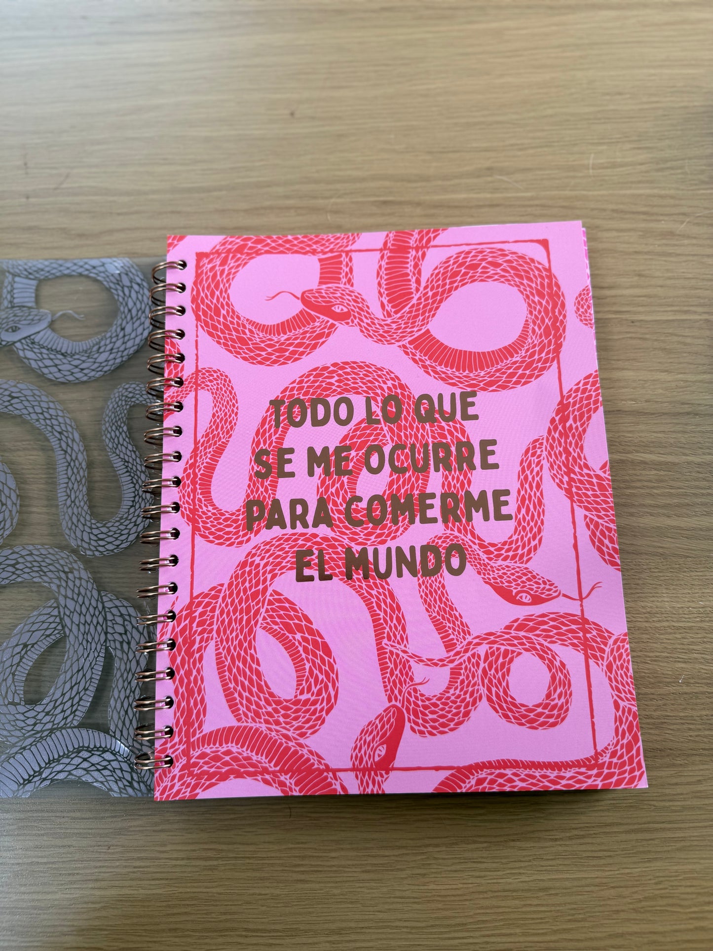 Cuaderno de sueños-Journal